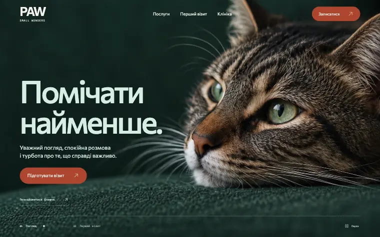 PAW · SMALL WONDERS — Главная
