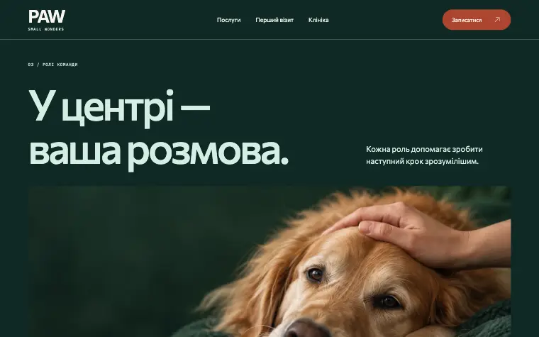 PAW · SMALL WONDERS — Роли команды